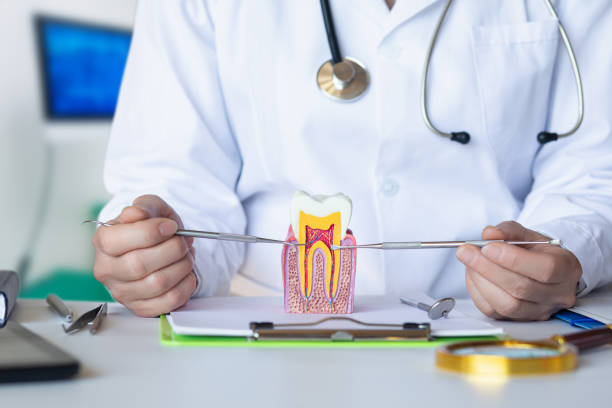 Best Emergency Treatment for Jaw Pain or Injury in Elmwood Park, IL